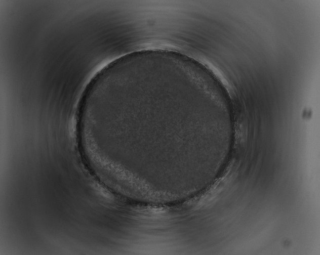 X0000102830975200809021310