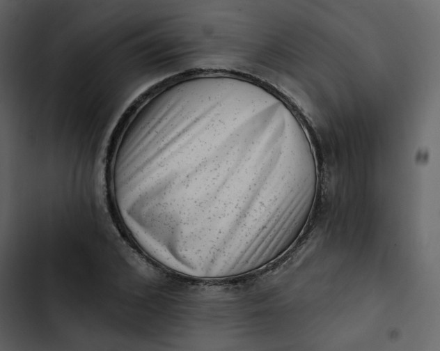 X0000102830976200809021310