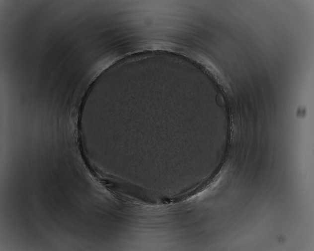 X0000102830977200809021310