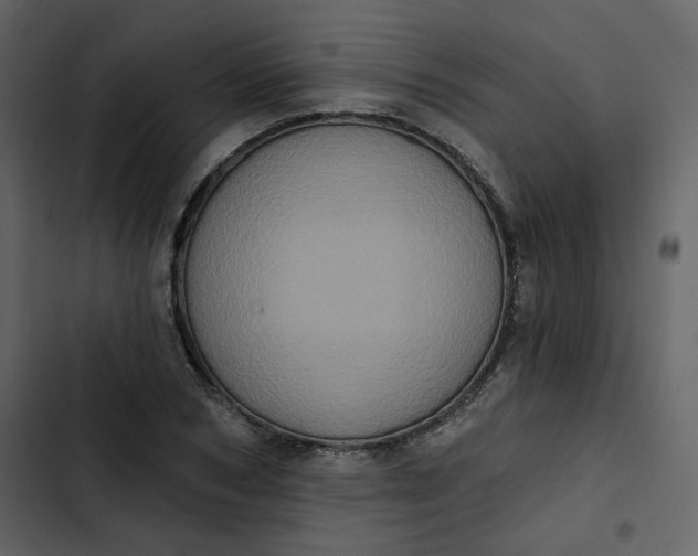 X0000102830978200809021310