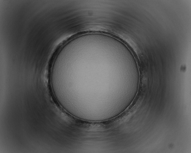 X0000102830979200809021310