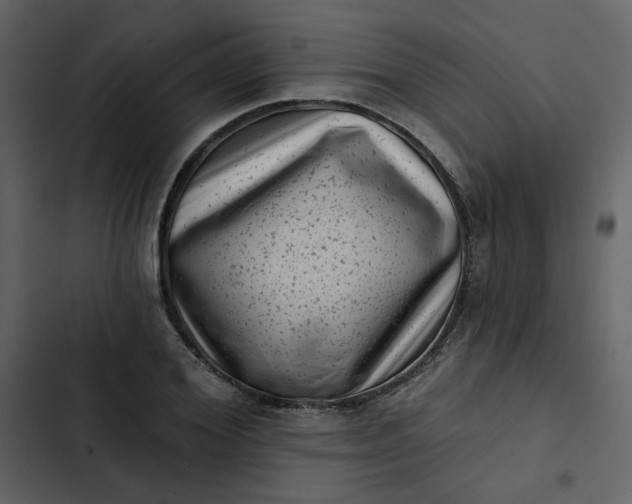 X0000102830980200809021310