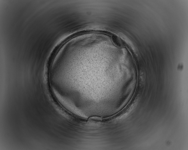 X0000102830981200809021310