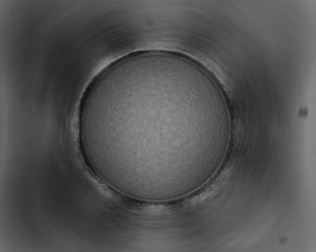 X0000102830982200809021310