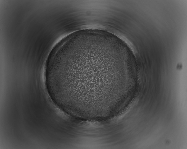 X0000102830983200809021310