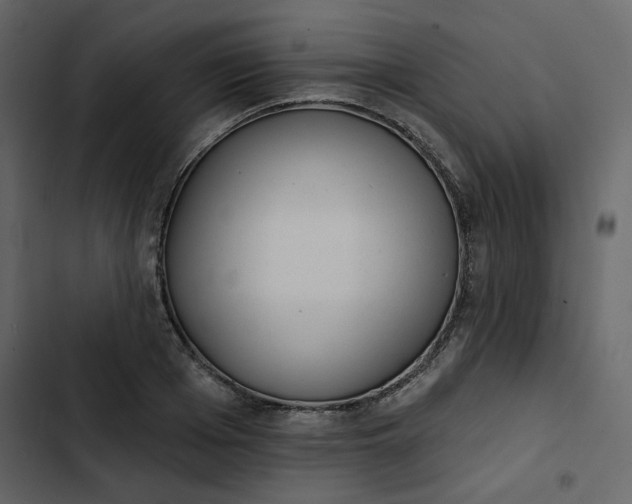 X0000102830985200809021310