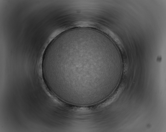 X0000102830986200809021310