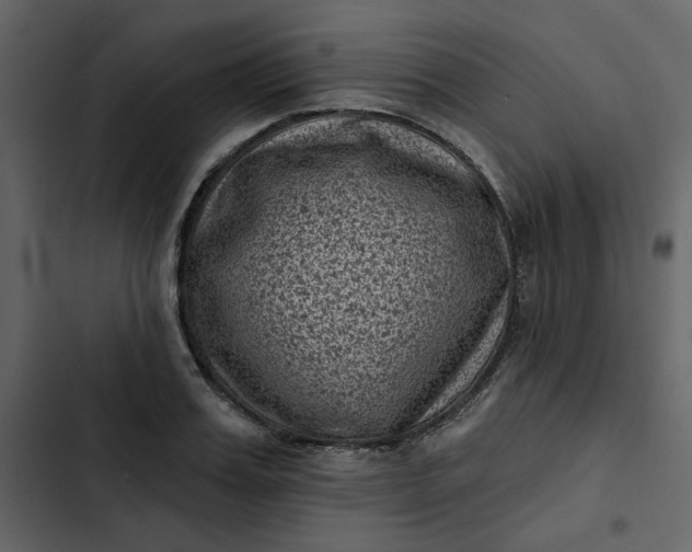 X0000102830987200809021310