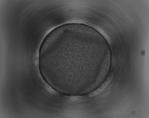 X0000102830988200809021310