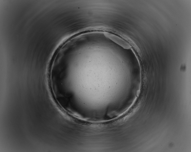 X0000102830989200809021309