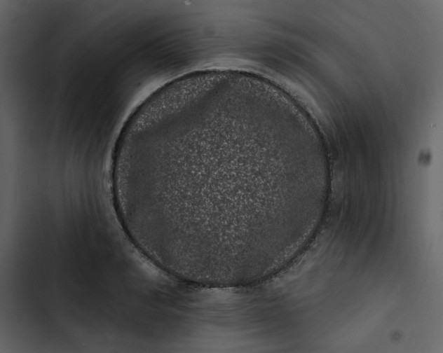 X0000102830990200809021309