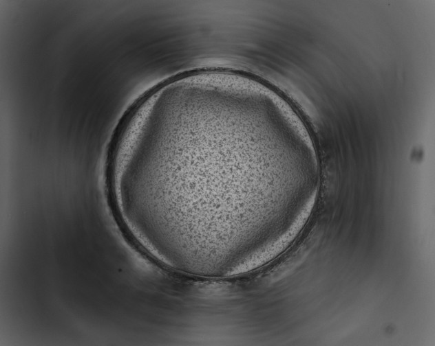 X0000102830991200809021309