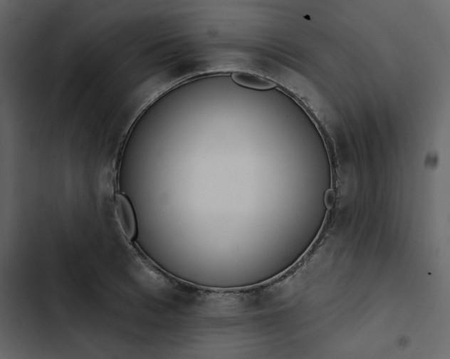 X0000102830993200809021309