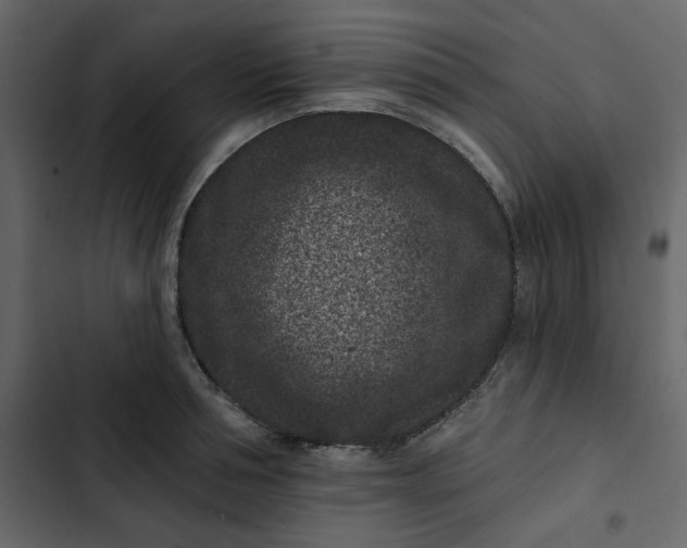 X0000102830994200809021309