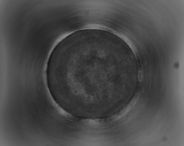 X0000102830995200809021309