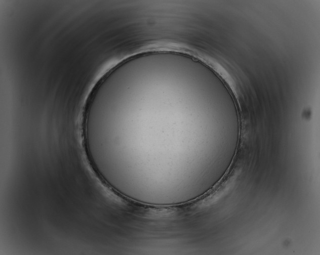 X0000102830997200809021309