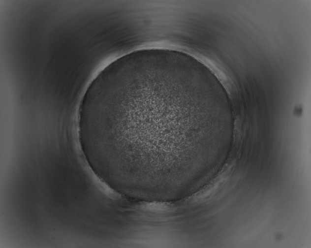 X0000102830998200809021309