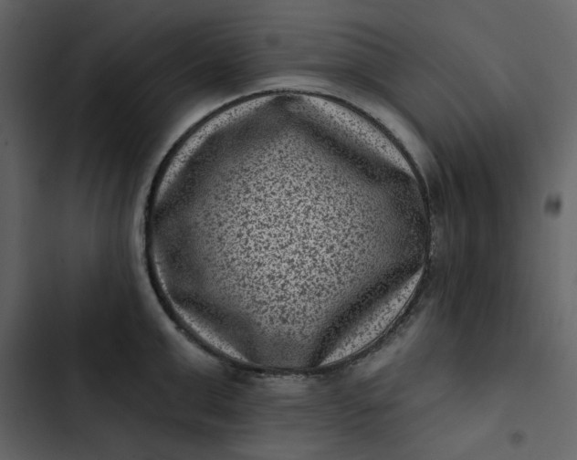 X0000102830999200809021309