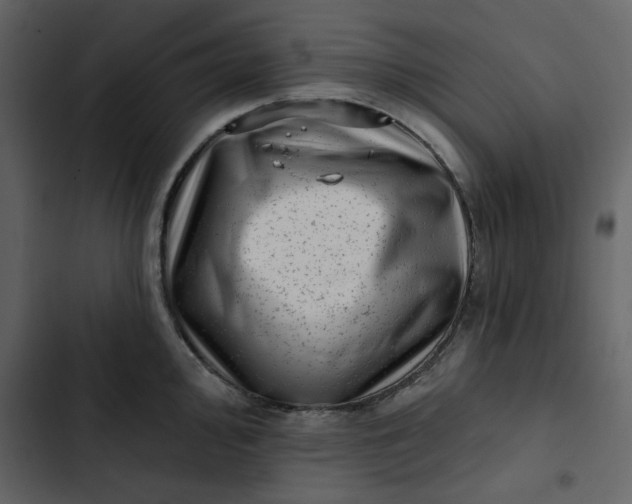 X0000102831000200809021309