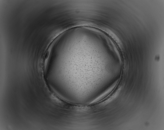 X0000102831001200809021309