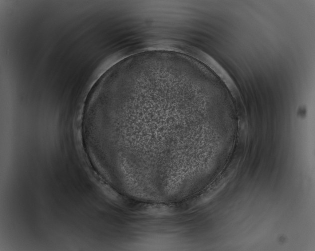 X0000102831002200809021309