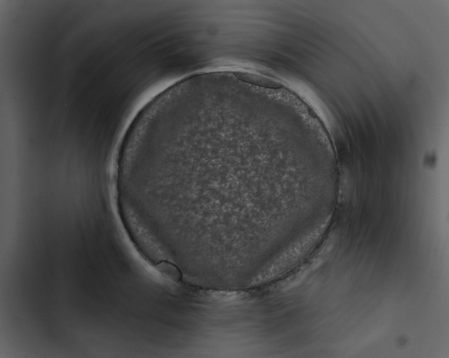 X0000102831003200809021309