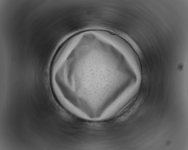 X0000102831004200809021309