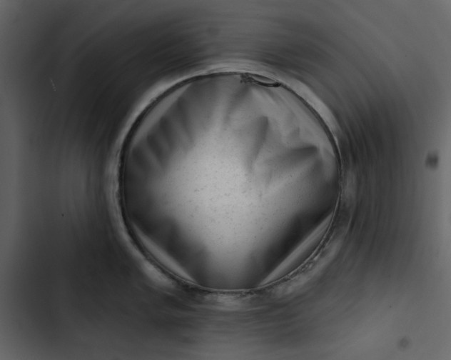 X0000102831005200809021309