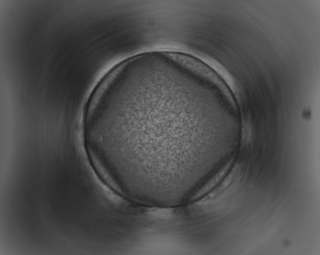 X0000102831006200809021309