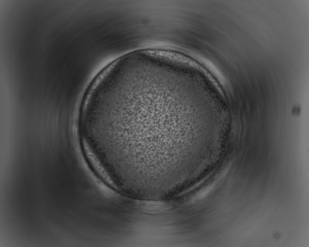 X0000102831007200809021309