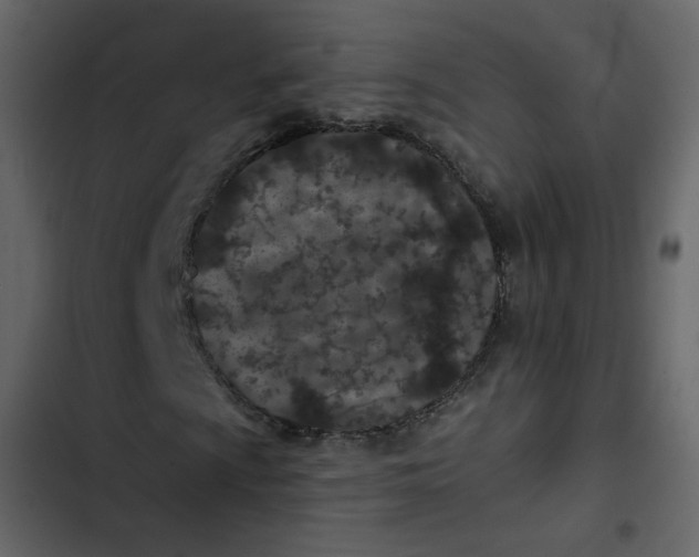 X0000102831009200809021308