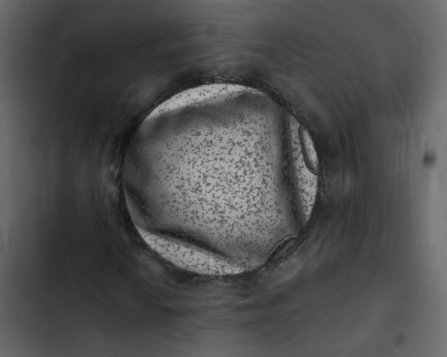 X0000102831010200809021308