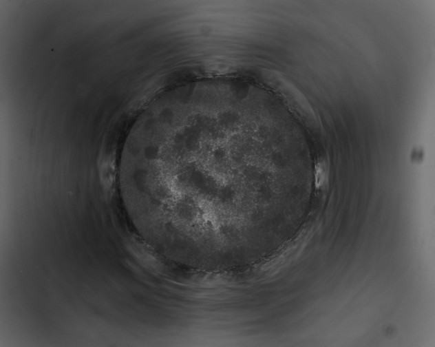 X0000102831011200809021308