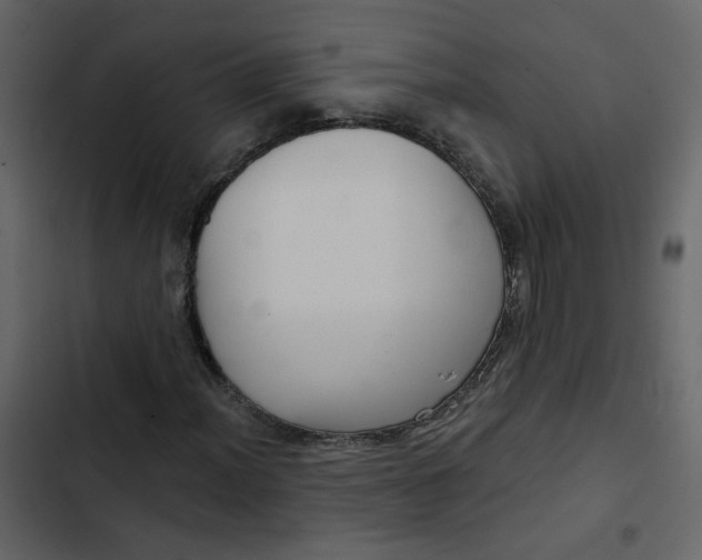 X0000102831012200809021308