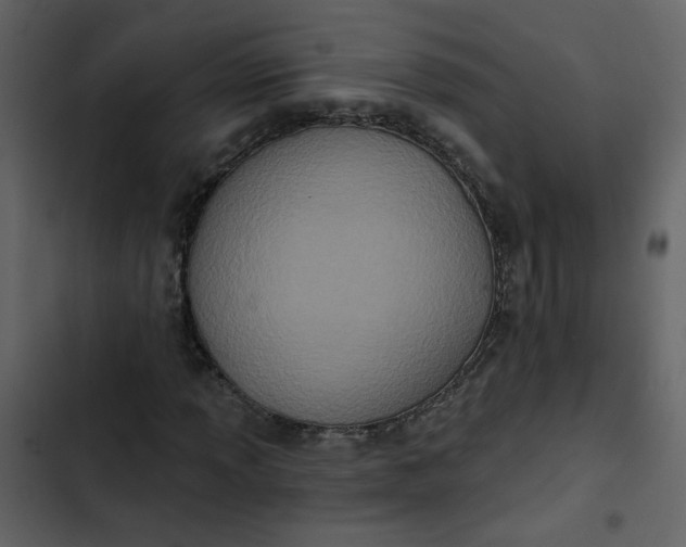 X0000102831013200809021308