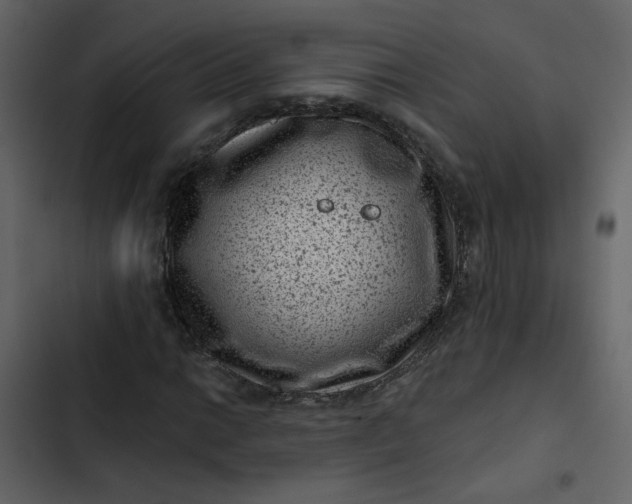 X0000102831014200809021308