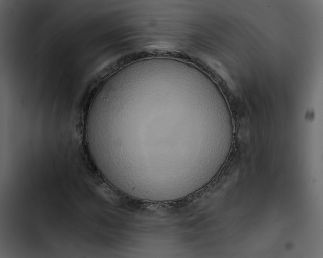 X0000102831015200809021308