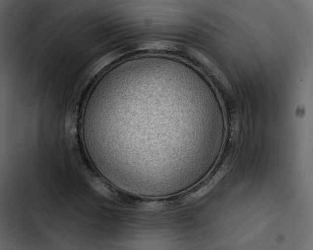 X0000102831017200809021309