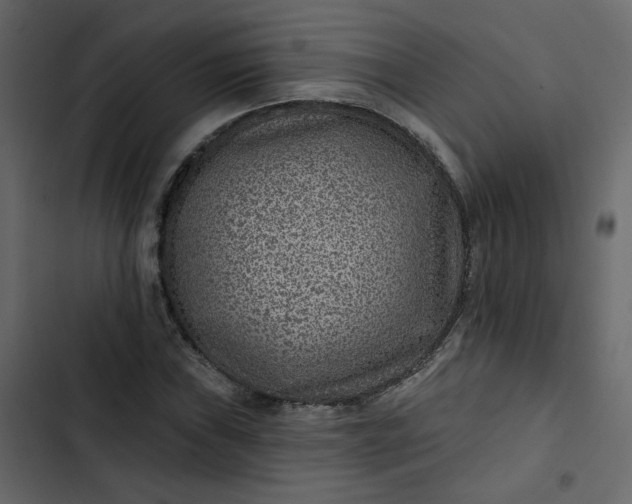 X0000102831019200809021309