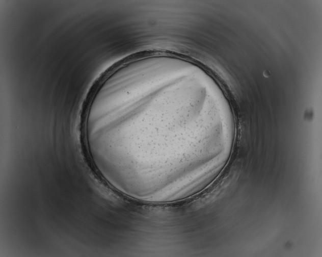 X0000102831020200809021309