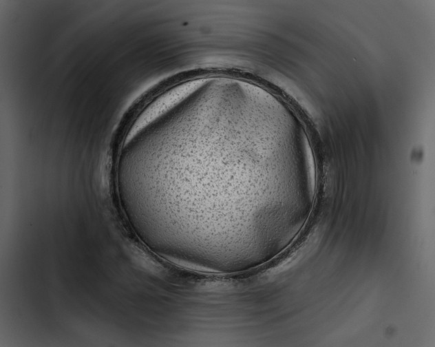 X0000102831021200809021309