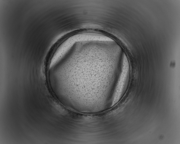 X0000102831022200809021309