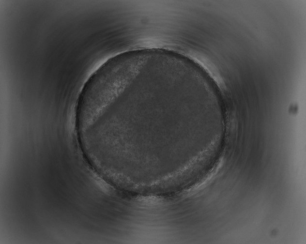 X0000102831023200809021309