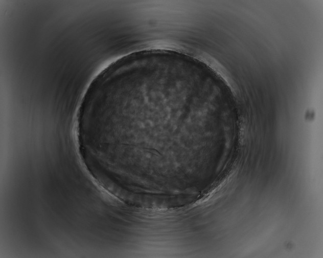 X0000102831024200809021309