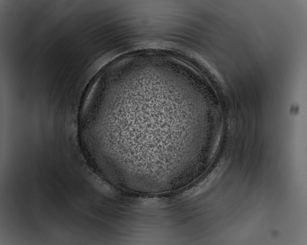 X0000102831025200809021309