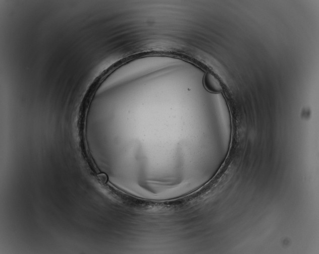 X0000102831026200809021309