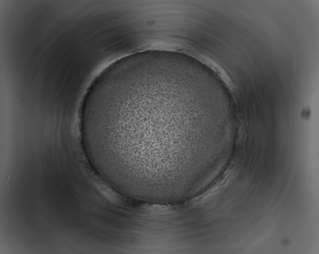 X0000102831027200809021309