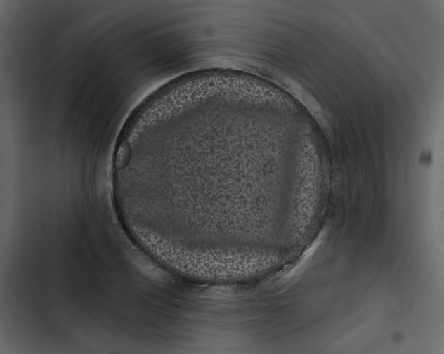 X0000102831028200809021309