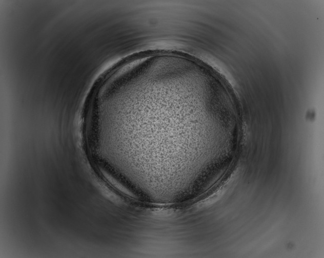 X0000102831029200809021309