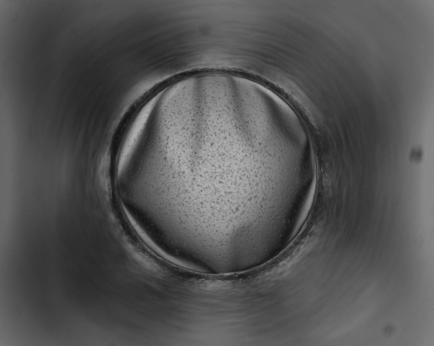 X0000102831030200809021309